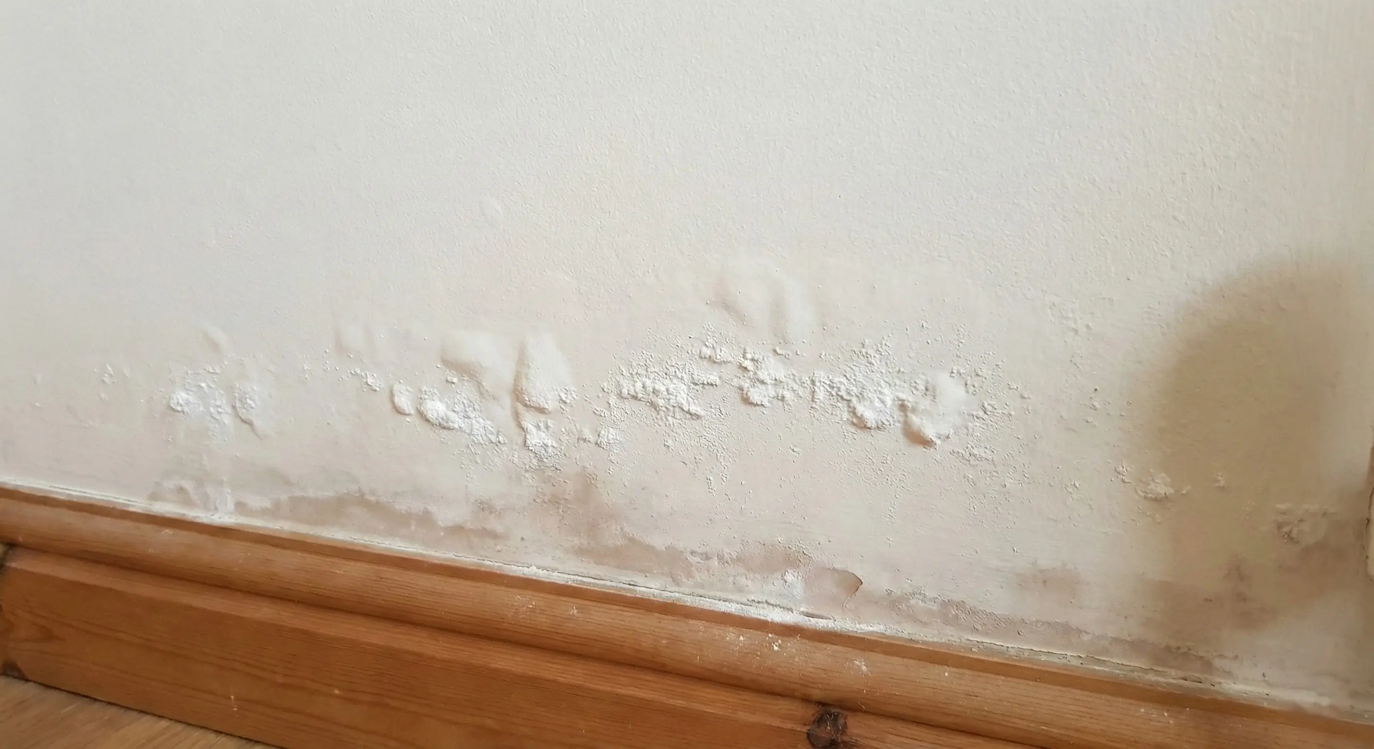 Umidade Ascendente: A Ciência por trás do Diagnóstico Real